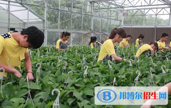 四川2022年中專學(xué)什么
