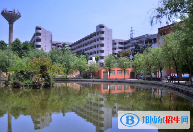 重慶2022年讀電子商務學校有什么專業(yè)