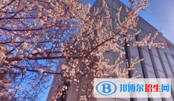 貴陽(yáng)2022年初中畢業(yè)報(bào)什么中專(zhuān)學(xué)校