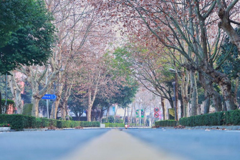 四川電影電視職業(yè)學院2022年招生辦聯(lián)系電話