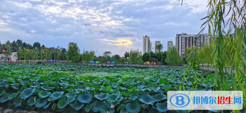 四川2022年初中畢業(yè)能考中專(zhuān)嗎