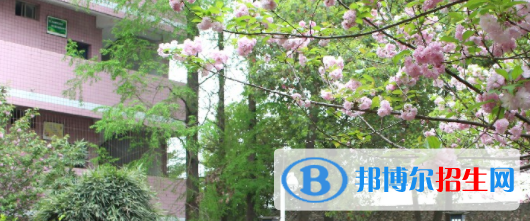 雙流縣建設職業(yè)技術學校2022年招生錄取分數線