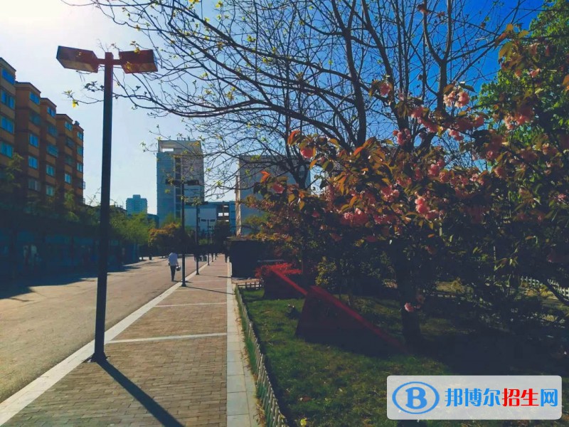 徐州醫(yī)藥高等職業(yè)學(xué)校怎么樣、好不好