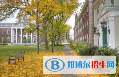 河北2022年計算機學校干什么的