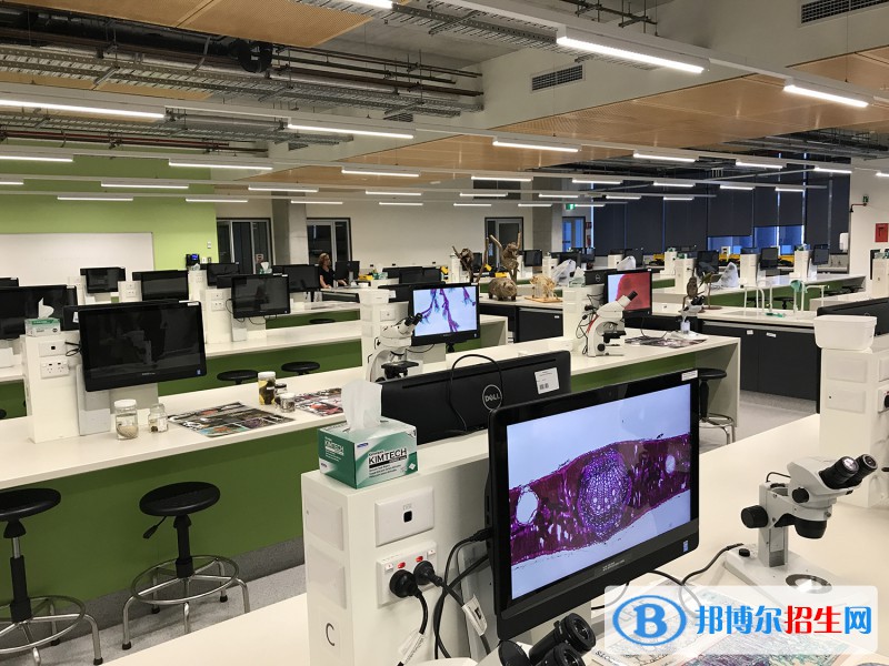 河北2022年初中生讀什么計算機學校最好