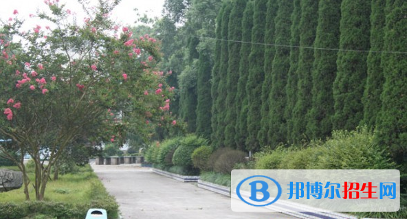 重慶市茂森中等職業(yè)學(xué)校2022年報名條件、招生要求、招生對象