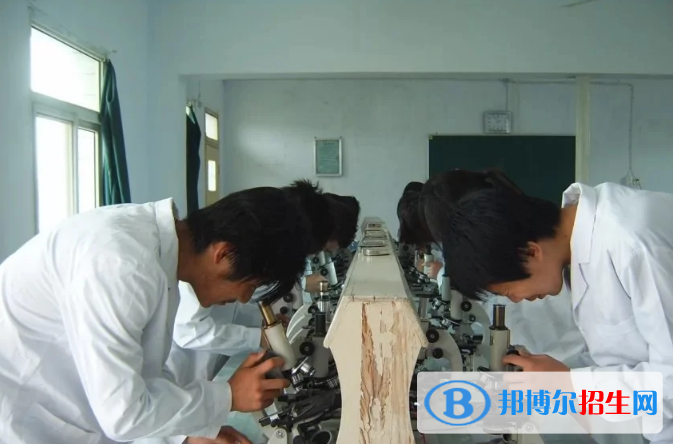西安育才醫(yī)科職業(yè)學(xué)校怎么樣、好不好