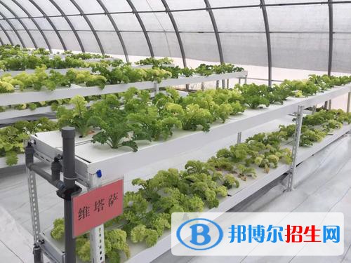 蘭州園藝學(xué)校2022年招生錄取分數(shù)線