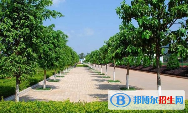 云南南方青年進修學(xué)院怎么樣好不好