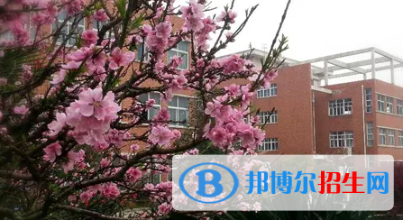 貴陽(yáng)2022年讀中專學(xué)校要初中畢業(yè)證嗎
