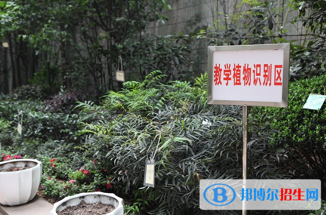 重慶園林技工學(xué)校怎么樣、好不好