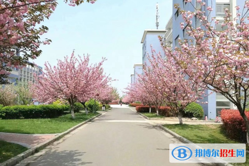 南京交通技師學(xué)院2022年報(bào)名條件、招生要求、招生對象