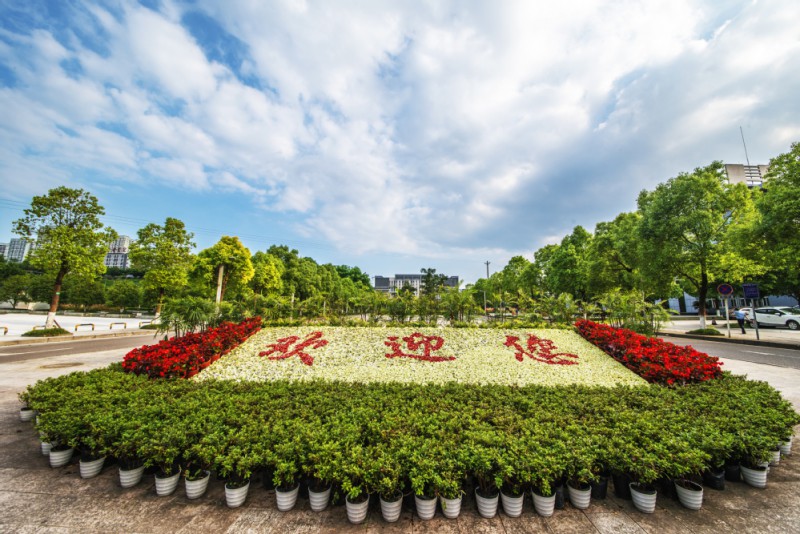 重慶城市管理職業(yè)學(xué)院2022年招生代碼