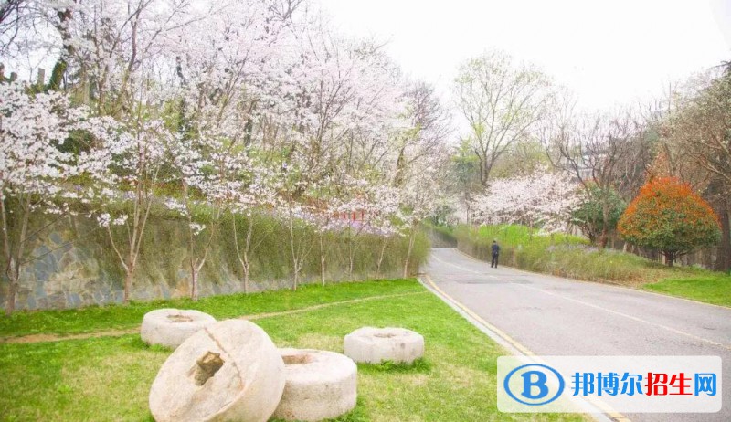 南京藝術(shù)學(xué)院附屬中等藝術(shù)學(xué)校2022年報(bào)名條件、招生要求、招生對(duì)象