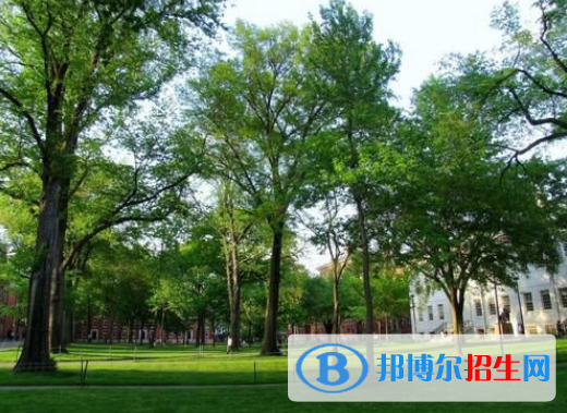 唐山勞動高級技工學(xué)校2022年招生錄取分數(shù)線
