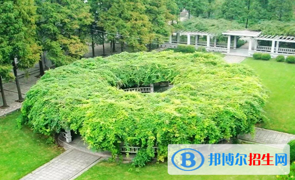 徐州生物工程職業(yè)技術學院中專部地址在哪里