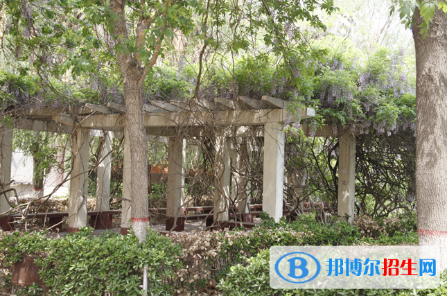 滄州市職業(yè)技術(shù)教育中心2022年報(bào)名條件、招生要求、招生對(duì)象