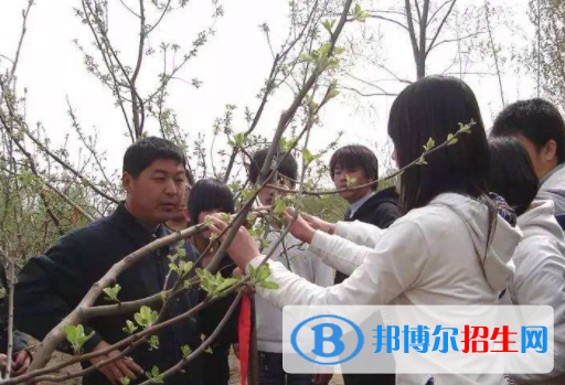 永清職教中心2022年招生錄取分?jǐn)?shù)線(xiàn)
