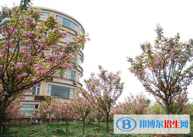 重慶交通職業(yè)學(xué)院怎么樣、好不好