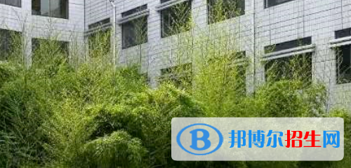 德州衛(wèi)生學(xué)校2022年學(xué)費、收費多少