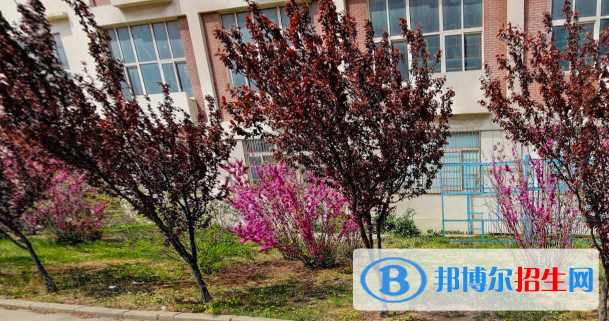 青島市石化高級(jí)技工學(xué)校怎么樣、好不好