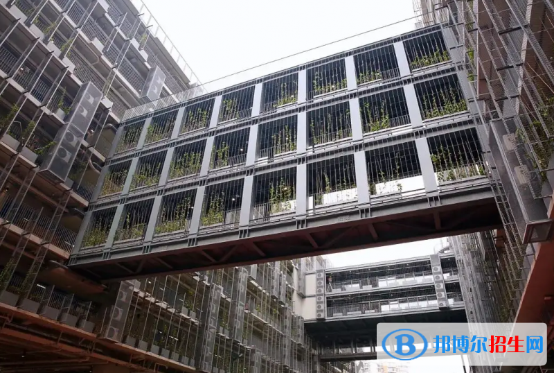  深圳國際交流學(xué)院2023年報(bào)名時(shí)間