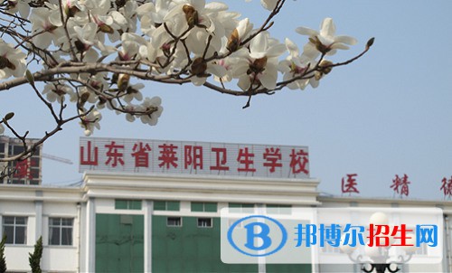萊陽市衛(wèi)生學(xué)校2022年怎么樣、好不好