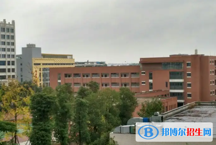 四川大學附屬中學國際部2022年入學條件