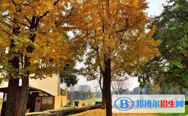 成都麓山國(guó)際光亞學(xué)校高中部2022年學(xué)費(fèi)標(biāo)準(zhǔn)