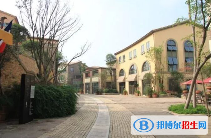 成都麓山國際光亞學校高中部2022年課程體系