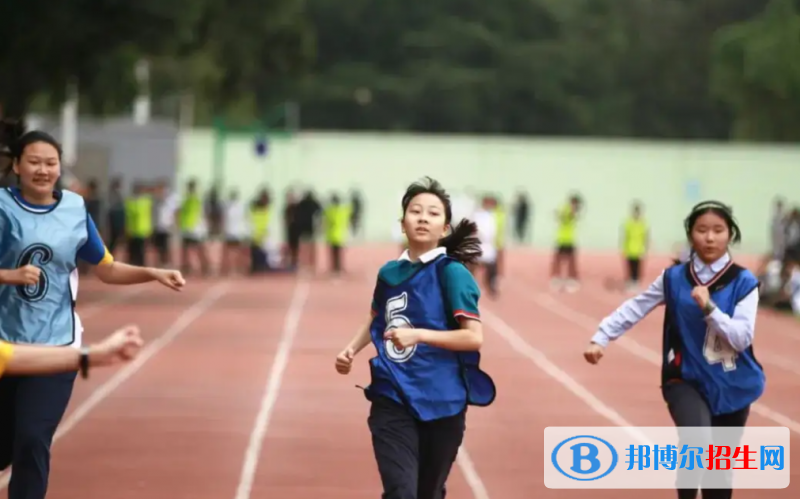 成都協(xié)同國際學校2022年入學考試