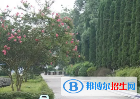 重慶2022年建筑學校有女生嗎