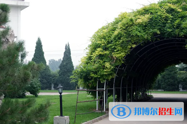 北京澳際國際學(xué)校2023年學(xué)費(fèi)標(biāo)準(zhǔn)