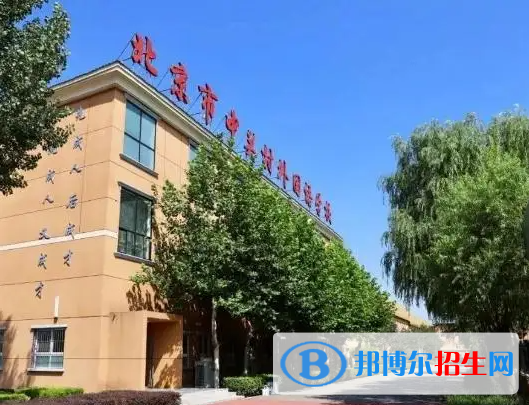 北京中關(guān)村外國(guó)語(yǔ)學(xué)校國(guó)際部2023年入學(xué)條件