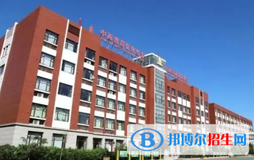 天津泰達(dá)國(guó)際學(xué)校2022年課程體系