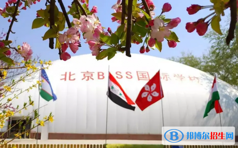 北京BISS國(guó)際學(xué)校小學(xué)部2023年招生政策