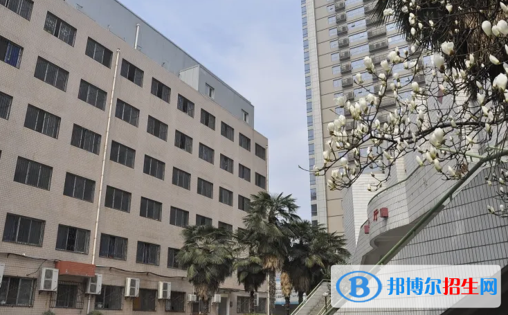 陜西2023年初中畢業(yè)可以讀中專嗎