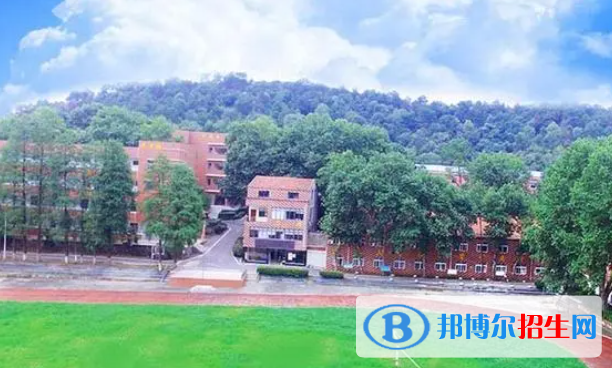 武漢海淀外國語實驗學(xué)校初中部2023年學(xué)費標準2