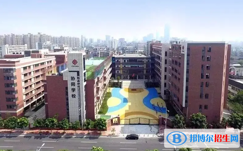 佛山協(xié)同國際學(xué)校2023年入學(xué)條件