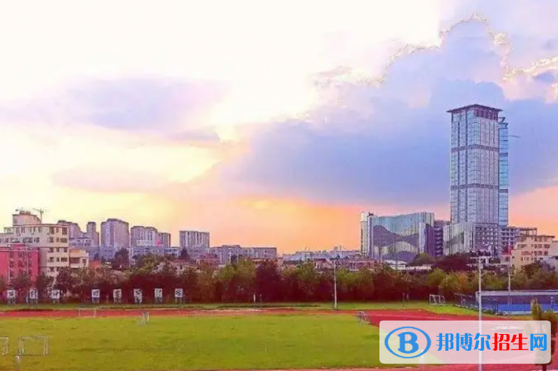 南海外國語學(xué)校2023年課程體系