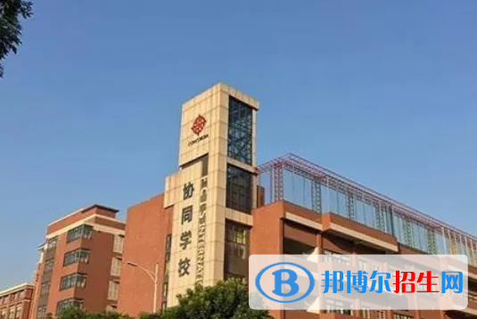 佛山協(xié)同國(guó)際學(xué)校小學(xué)部2023年入學(xué)條件