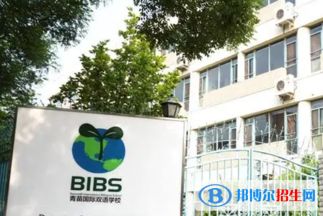 成都青苗國(guó)際雙語(yǔ)學(xué)校初中部2023年錄取分?jǐn)?shù)線(xiàn)