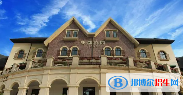 成都協(xié)同國際學校初中部2023年招生政策
