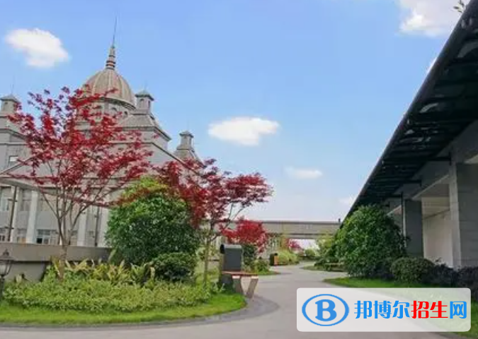 成都協(xié)同國際學校初中部2023年錄取分數(shù)線2
