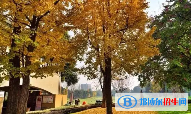 成都麓山國際光亞學(xué)校小學(xué)部怎么樣2