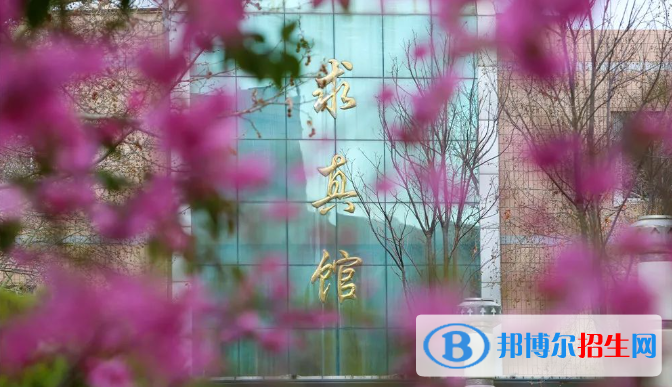 河北衡水中學2023年招生代碼