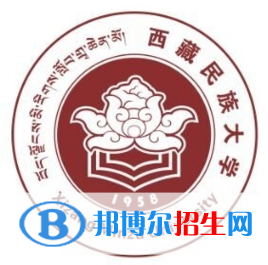 西藏民族大學(xué)藝術(shù)類專業(yè)有哪些？（藝術(shù)類專業(yè)）