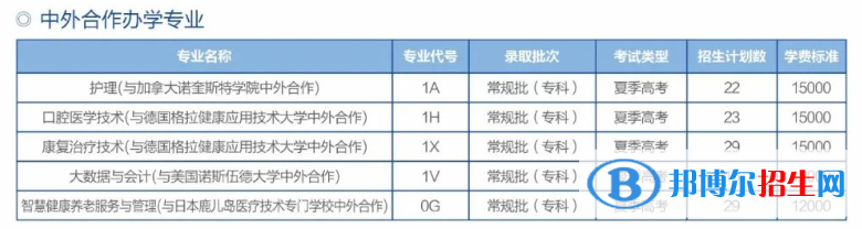 濱州職業(yè)學(xué)院有哪些中外合作辦學(xué)專業(yè)？（附名單）
