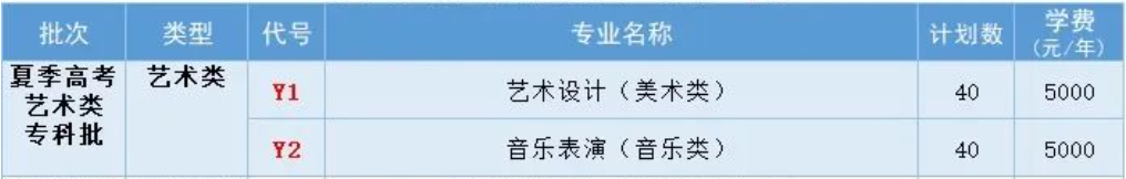 棗莊科技職業(yè)學(xué)院藝術(shù)類專業(yè)有哪些？（藝術(shù)類專業(yè)）