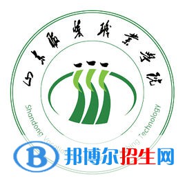 山東服裝職業(yè)學(xué)院藝術(shù)類專業(yè)有哪些？（藝術(shù)類專業(yè)）